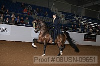 08usn-09651 proof