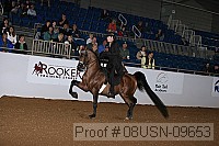 08usn-09653 proof