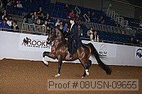 08usn-09655 proof