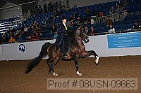 08usn-09663 proof