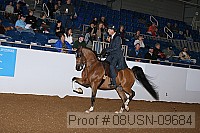 08usn-09684 proof