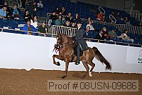 08usn-09686 proof