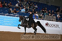 08usn-09687 proof