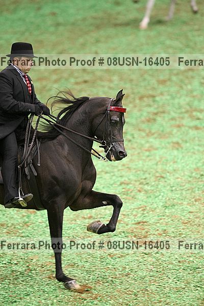 Proof 08usn-16405
