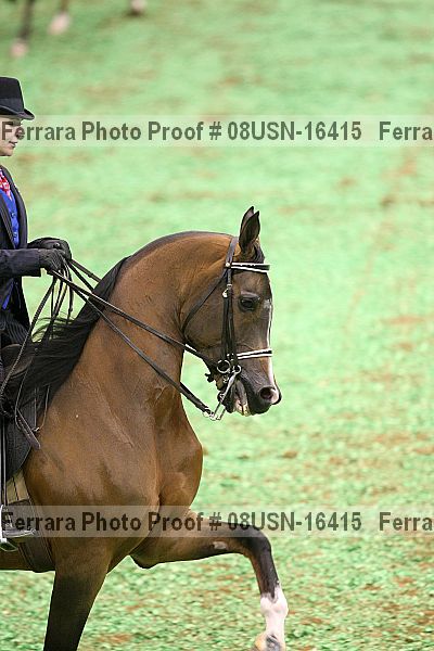 Proof 08usn-16415