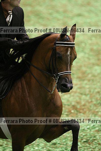 Proof 08usn-16434