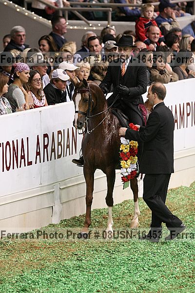 Proof 08usn-16453