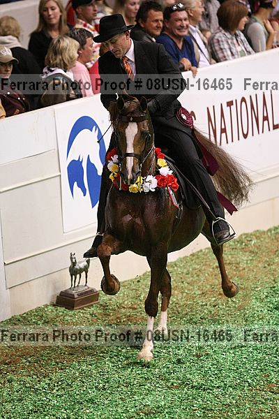 Proof 08usn-16465