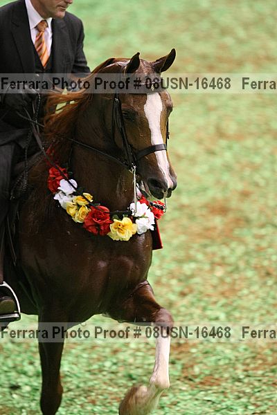 Proof 08usn-16468