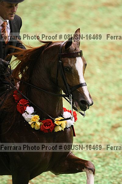 Proof 08usn-16469