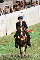 08usn-16546 proof
