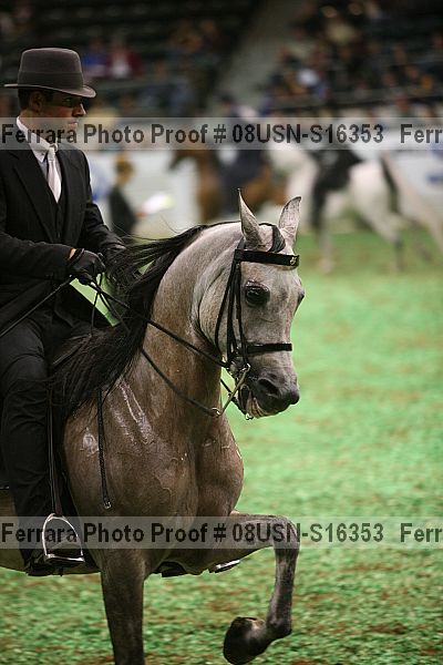 Proof 08usn-s16353
