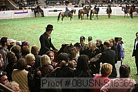 08usn-s16365 proof