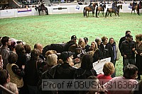 08usn-s16366 proof