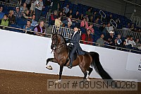 08usn-00266 proof