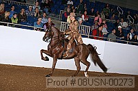 08usn-00273 proof