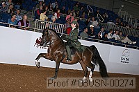08usn-00274 proof