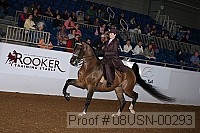08usn-00293 proof