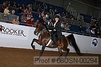 08usn-00294 proof