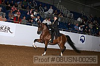08usn-00296 proof
