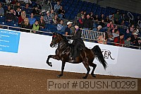 08usn-00299 proof