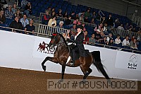 08usn-00302 proof