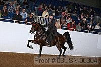 08usn-00304 proof