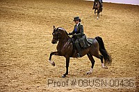 08usn-00436 proof