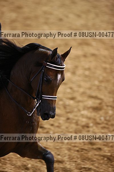 Proof 08usn-00477