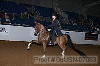 08usn-07083 proof
