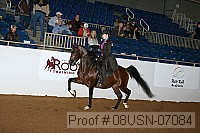 08usn-07084 proof