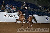 08usn-07085 proof