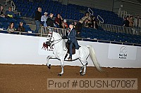 08usn-07087 proof