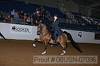 08usn-07096 proof