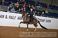 08usn-07101 proof
