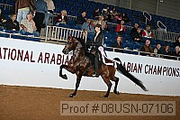 08usn-07106 proof