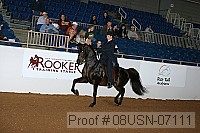 08usn-07111 proof