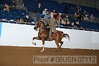 08usn-07112 proof