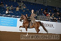 08usn-07115 proof