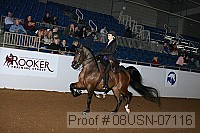 08usn-07116 proof