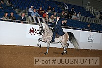 08usn-07117 proof