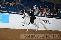 08usn-07118 proof