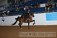 08usn-07119 proof
