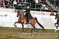 08usn-13761 proof