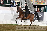 08usn-13762 proof