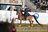 08usn-13769 proof