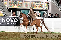 08usn-13770 proof