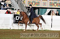 08usn-13772 proof