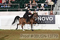 08usn-13779 proof