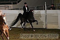 08usn-13787 proof